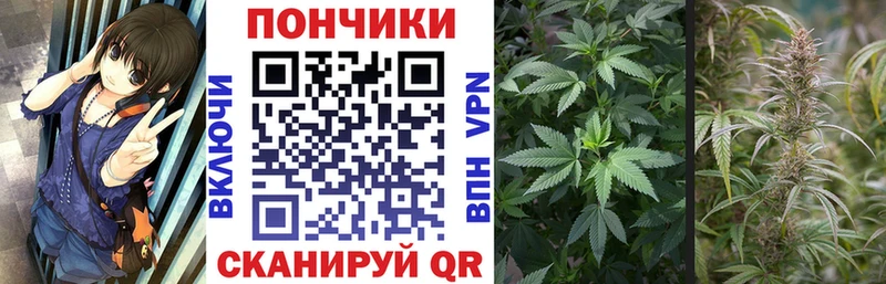 МАРИХУАНА конопля Кировград